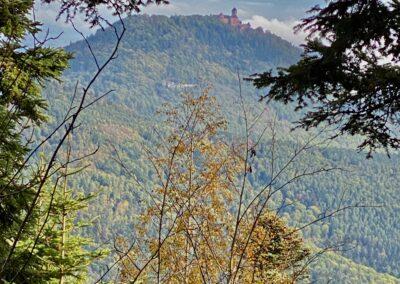 Le Haut Koenigsbourg