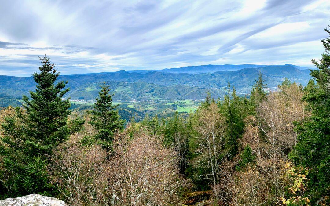 20221106 Le Taennchel