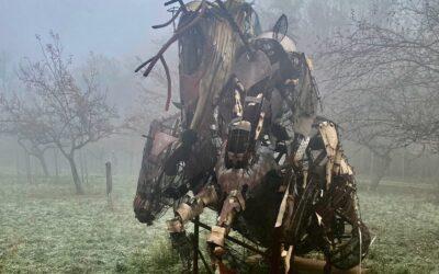 Randonnée Ribeauvillé 11/12/2022