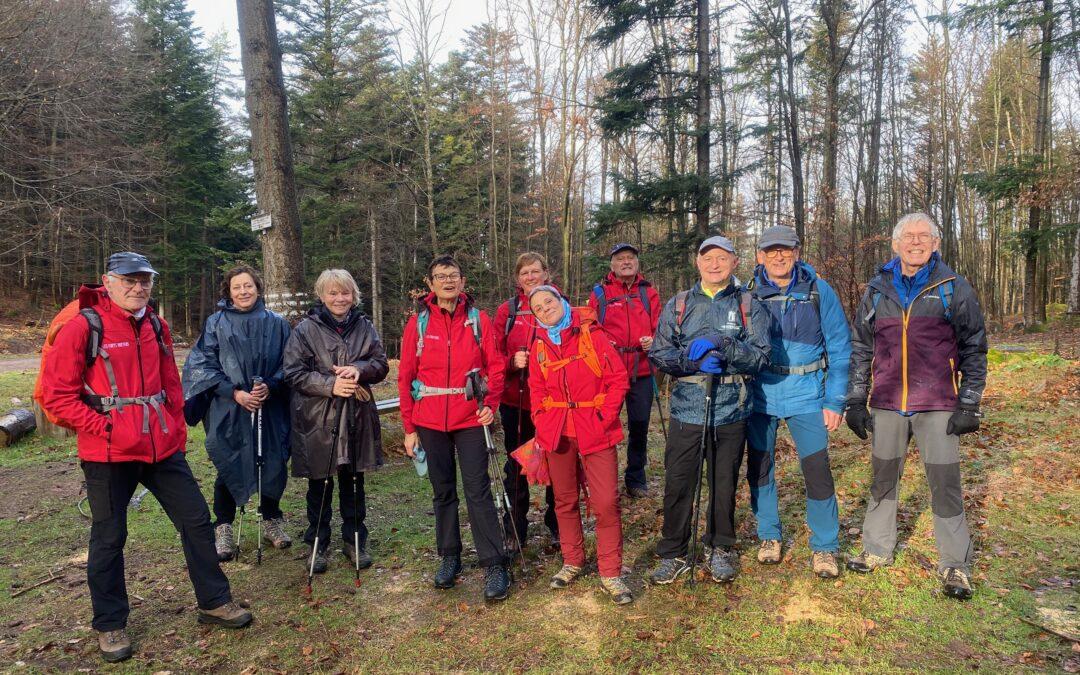 Randonnée du 8/1/2023 : Mollkirch, Grendelbruch et le château du Guirbaden