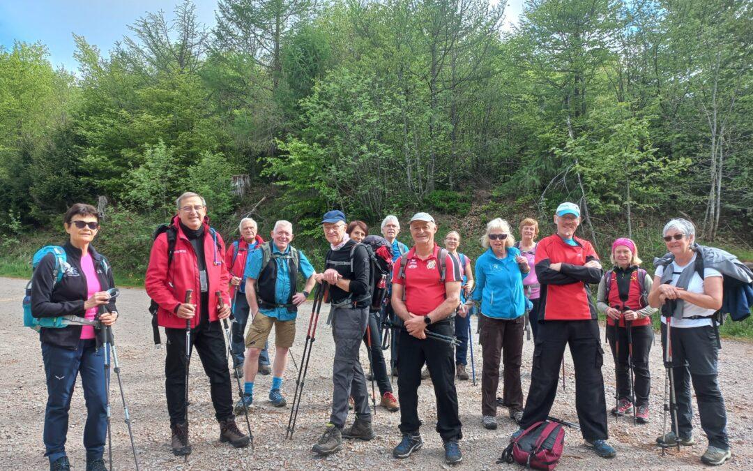 Retour sur la randonnée du 14 mai 2023 Schwartzwald Nationalparkrunde