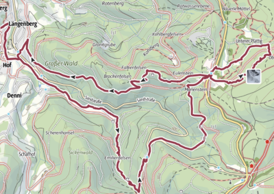 2025-02-16 Retour sur la randonnée Gertelbachcher Wasserfall