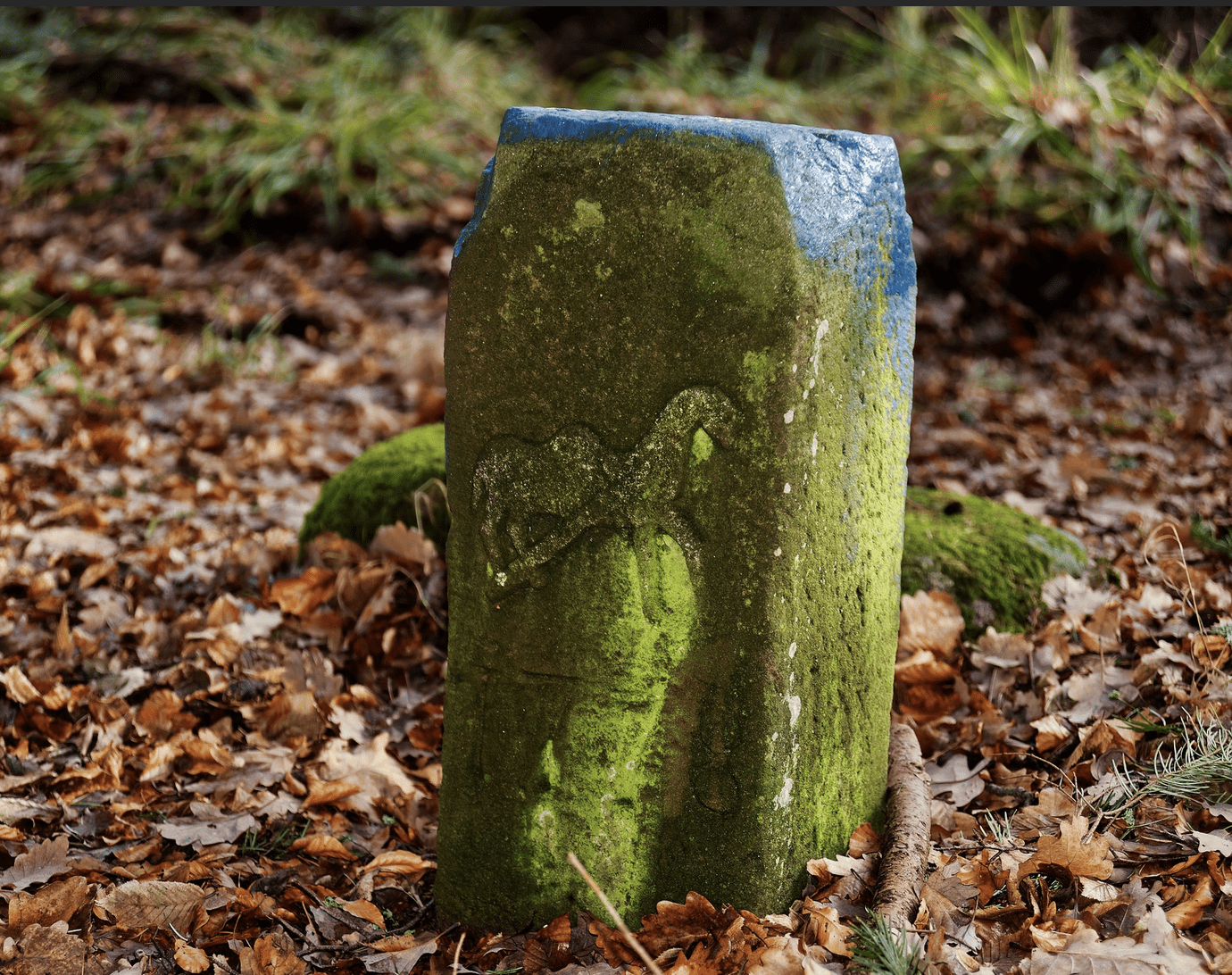 2026-06-07 Kienberg et sentier des chameaux