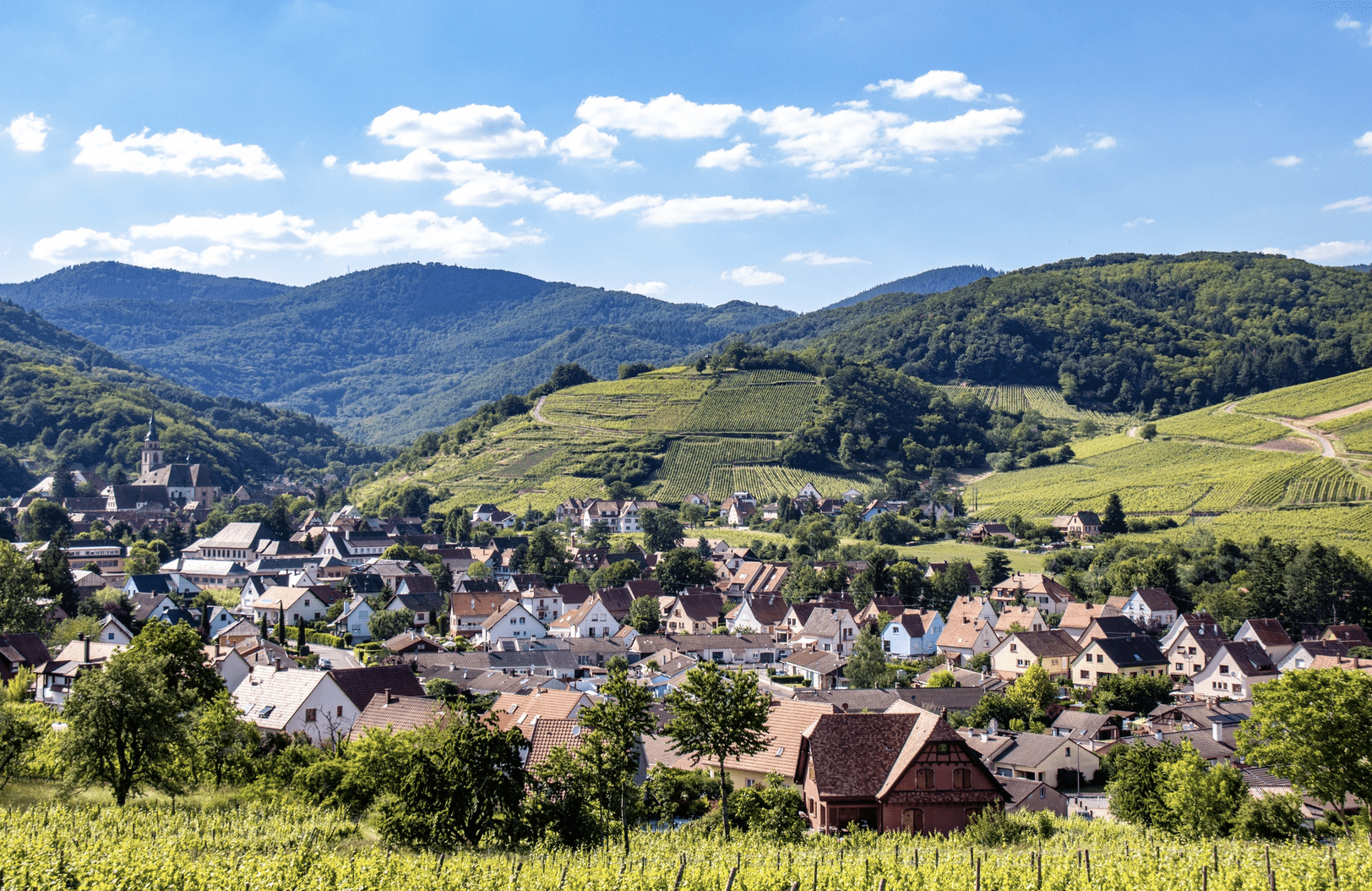 2026-03-29 Châteaux et Vignobles au Pays de Barr