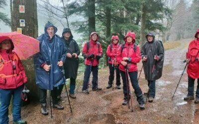 Retour sur la randonnée du 26/03/2023 : Wangenbourg et Schneeberg
