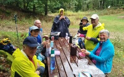 Retour sur la randonnée du Seelberg du 26/9/2024